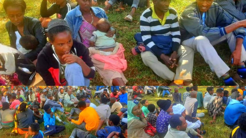 UN says humanitarian situation worsening for over 850,000 people displaced in Western Oromia, urges multi-sectoral support
