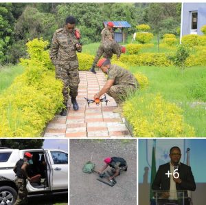 የብሔራዊ መረጃና ደኅንነት አገልግሎት የሰው ኃይሉን በተከታታይ ስልጠናዎች እያበቃ መሆኑን አስታወቀ