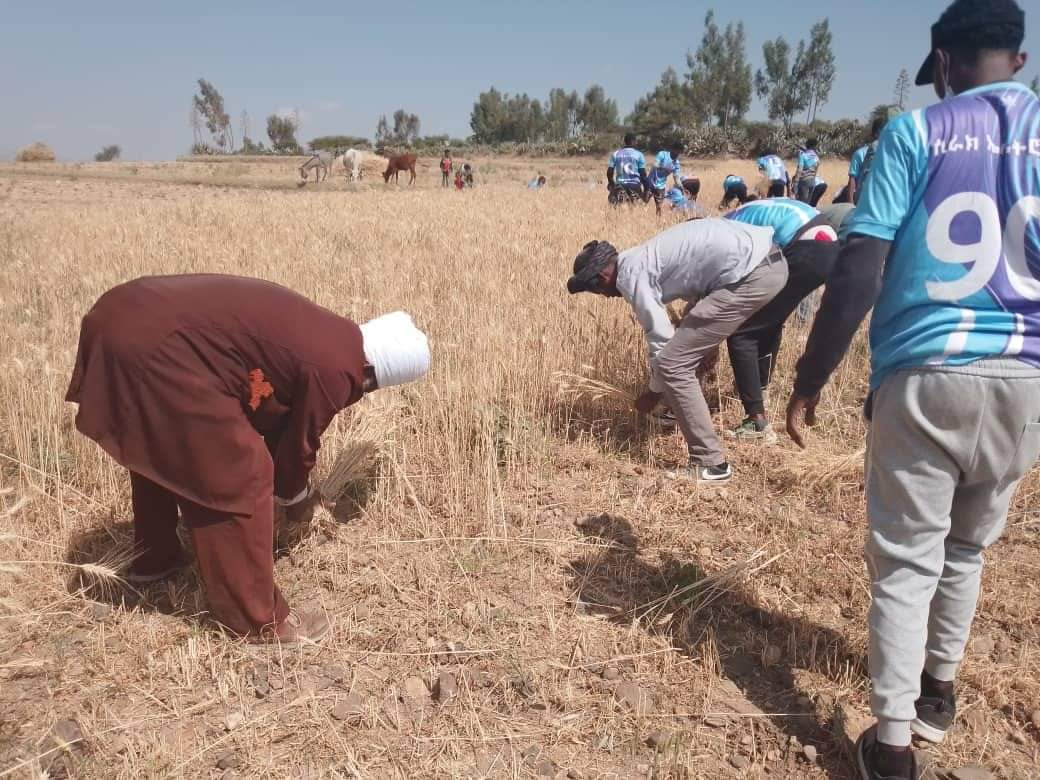 ካብ ህዝብን ምምሕዳርን ከተማ መቐለ ዝተውፃእፀአ ማሕበረሰብ ወፍሪ ዓፂድ ንስድራ ስውኣት ኣብ ዝተፈላለያ ጣብያታት ወረዳ ሕንጣሎ ኣሳሊጡ